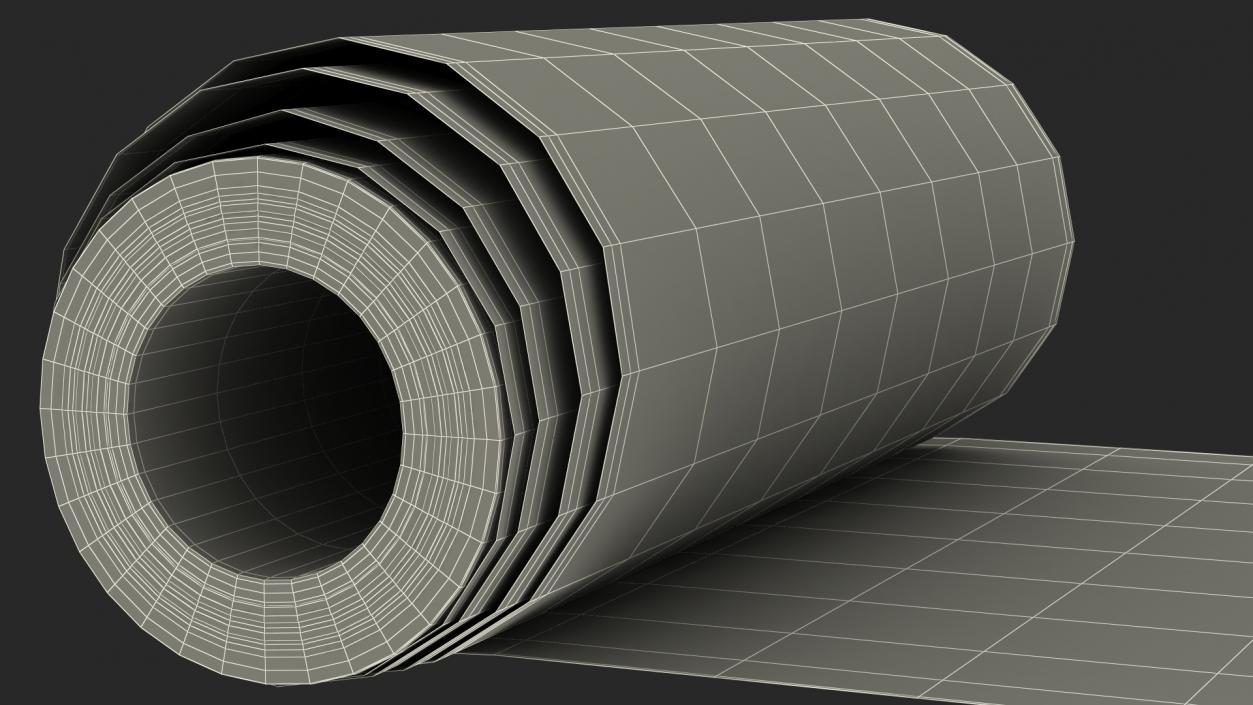 3D Roll of White Paper Unfolded model