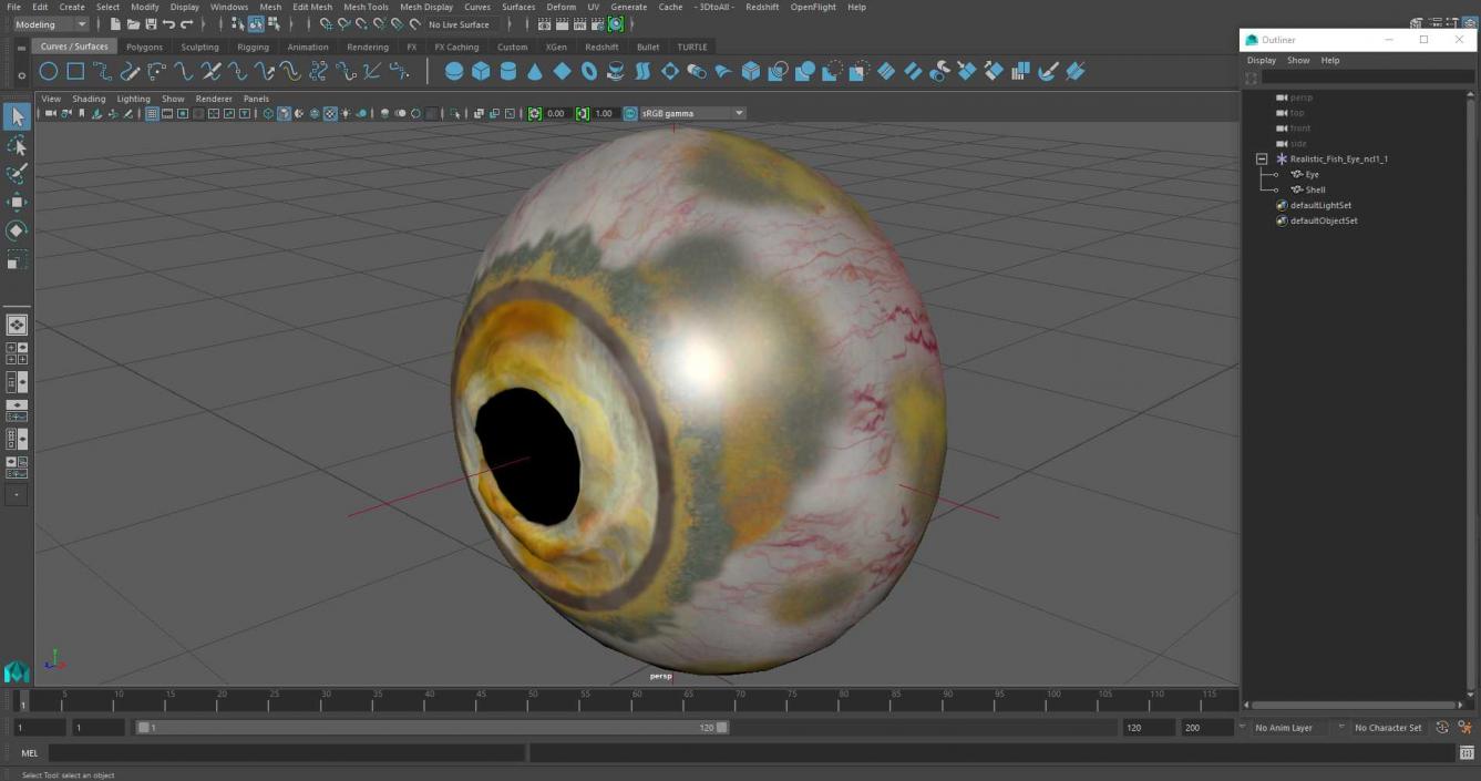 3D Realistic Fish Eye model