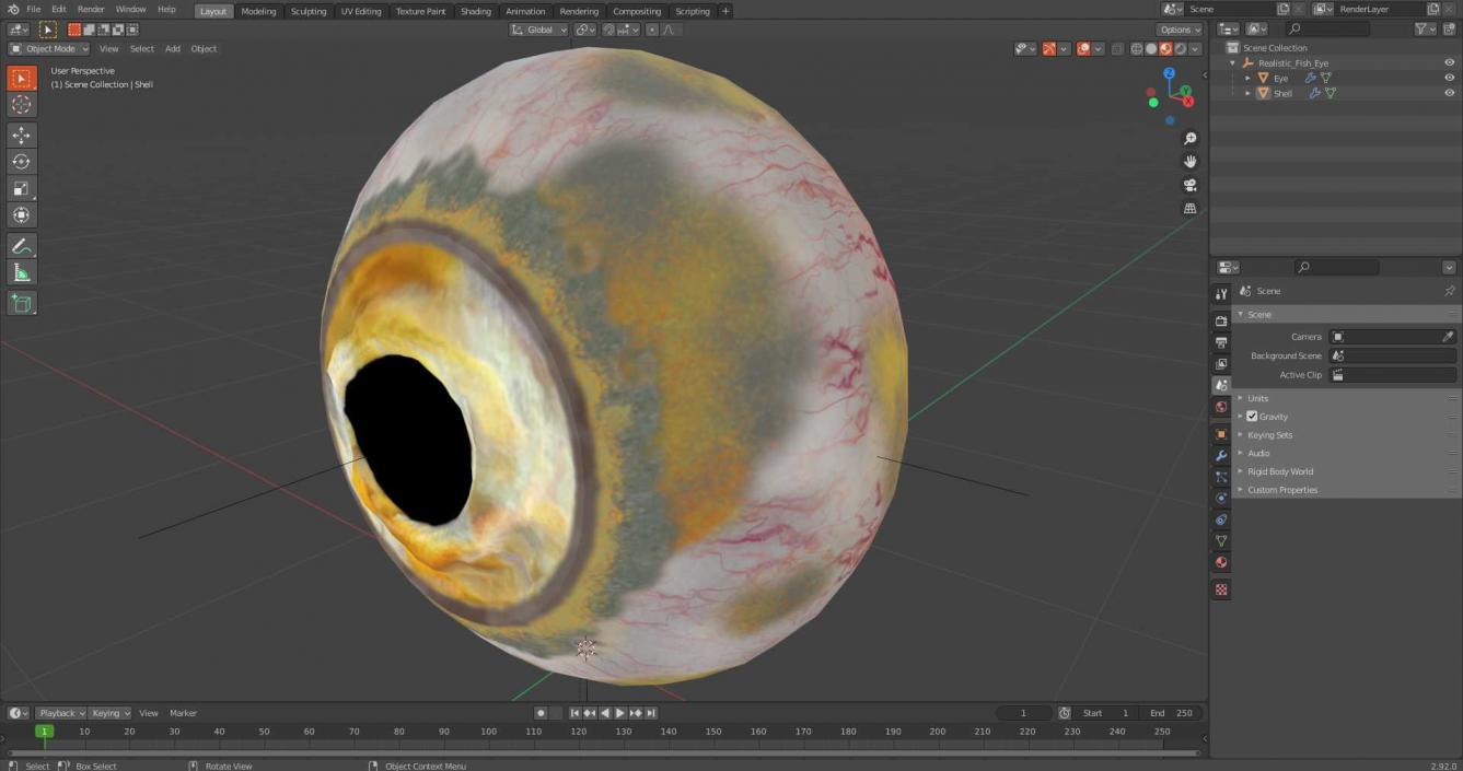 3D Realistic Fish Eye model