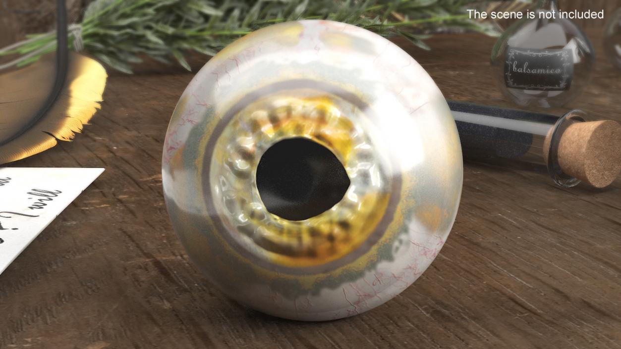 3D Realistic Fish Eye model