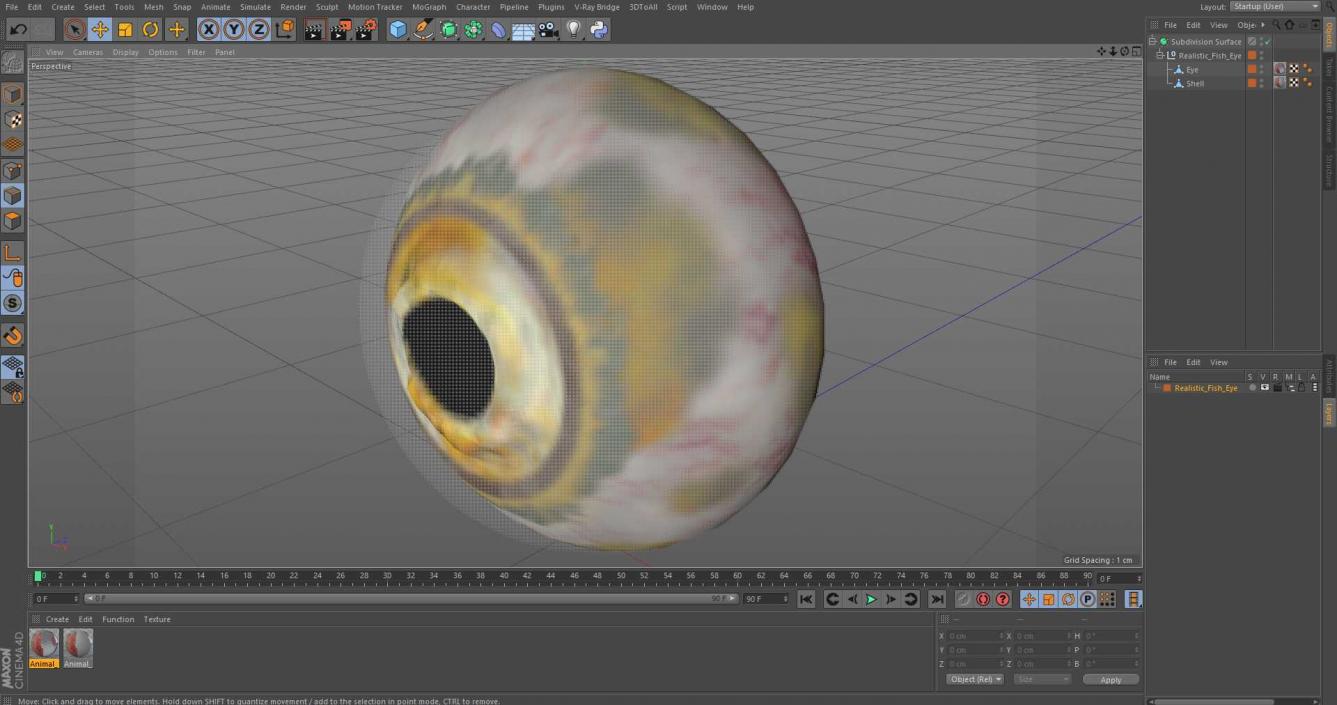 3D Realistic Fish Eye model