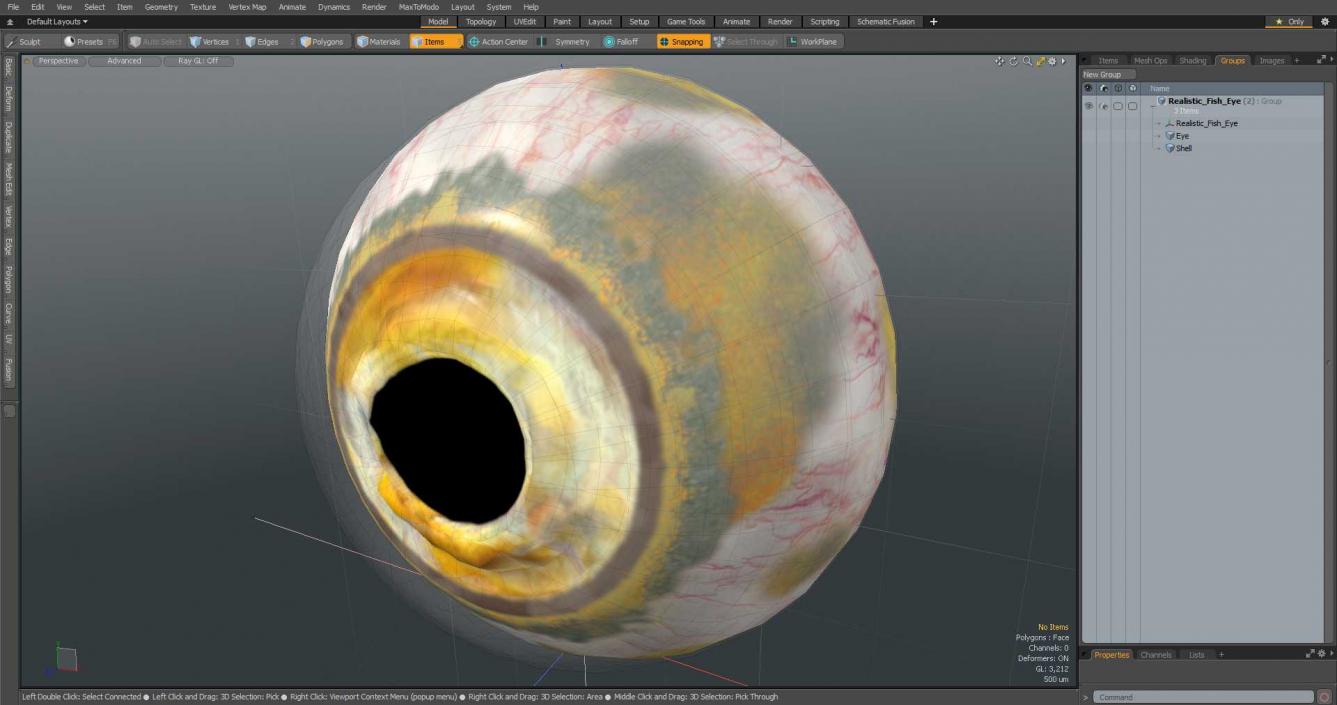 3D Realistic Fish Eye model