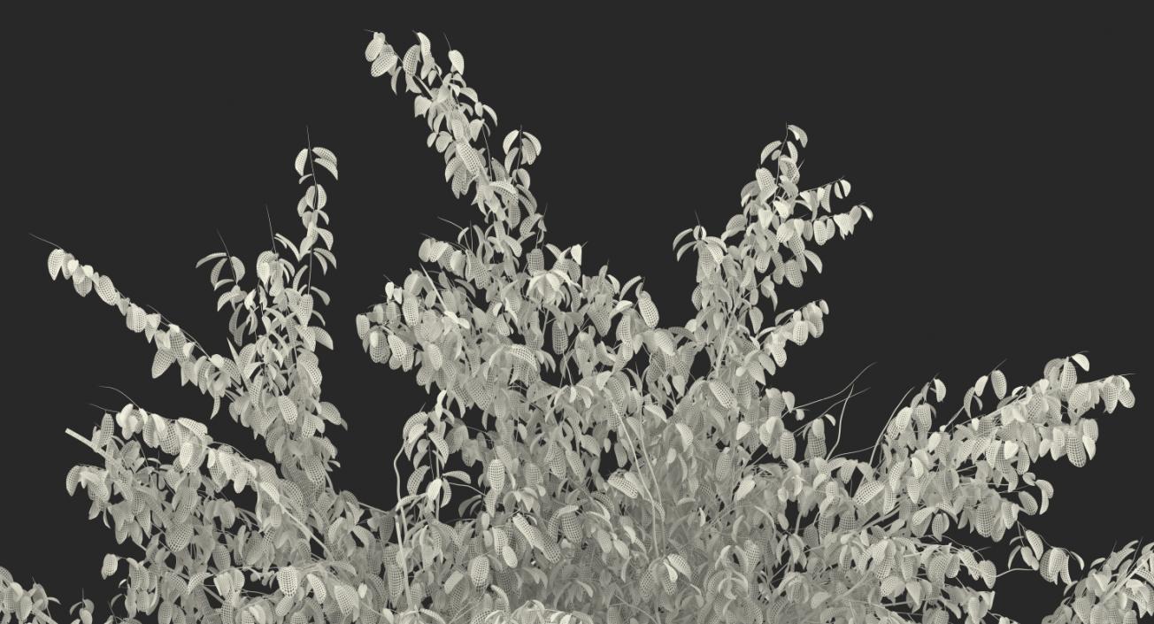 3D Autumn Pear Tree