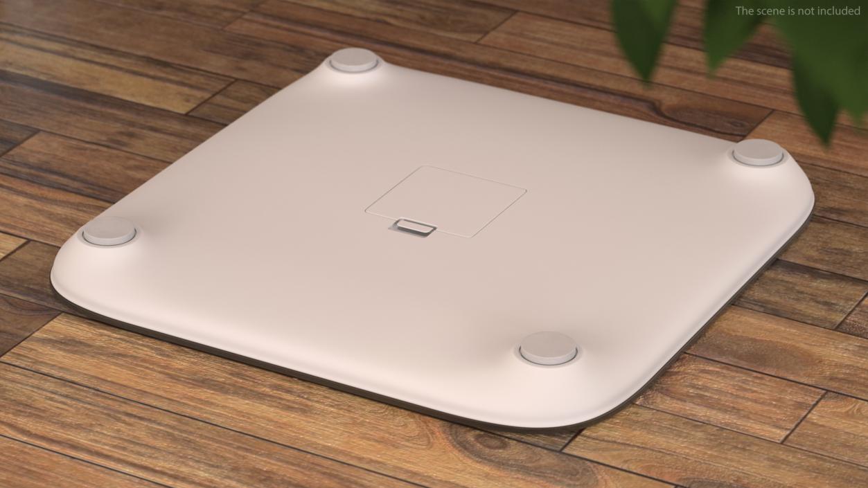 Smart Scales 3D