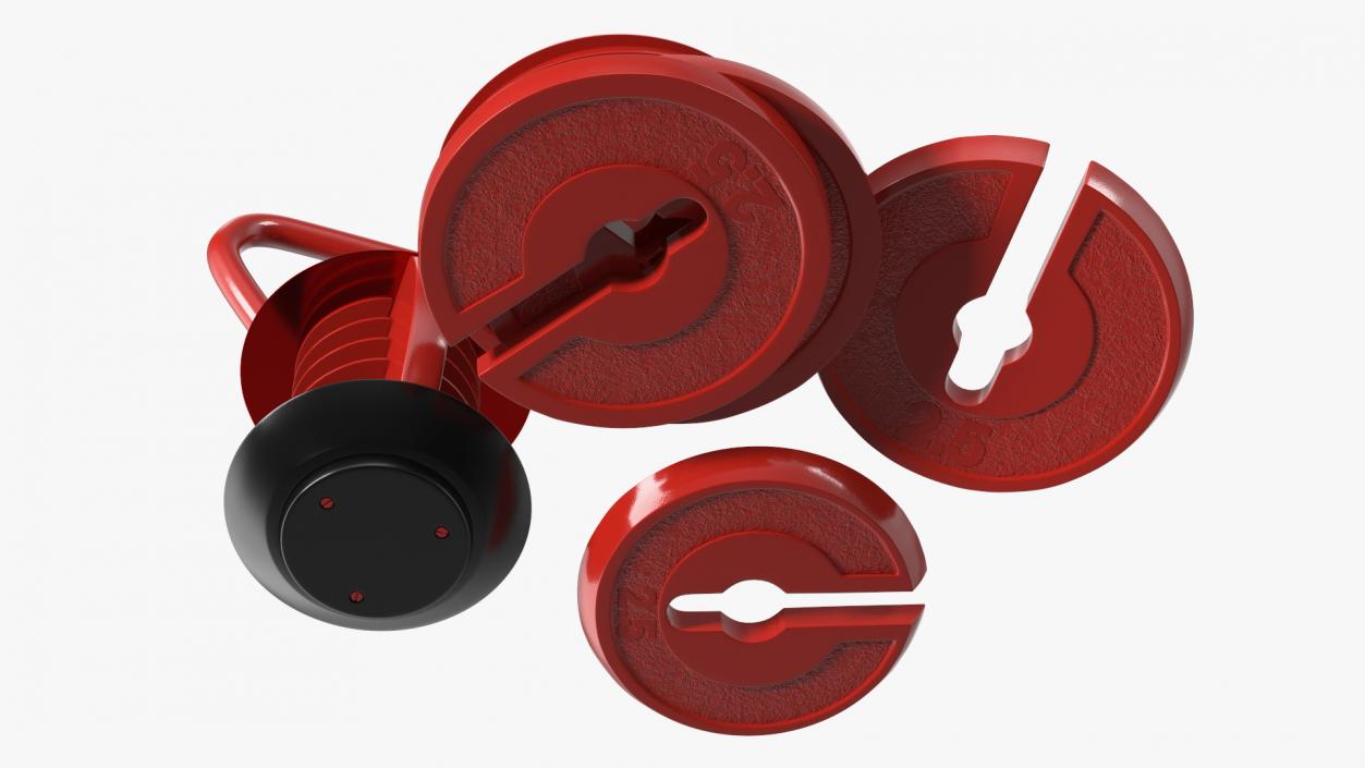 Kettlebell with Disks Red 2 3D