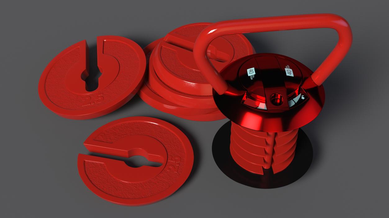 Kettlebell with Disks Red 2 3D