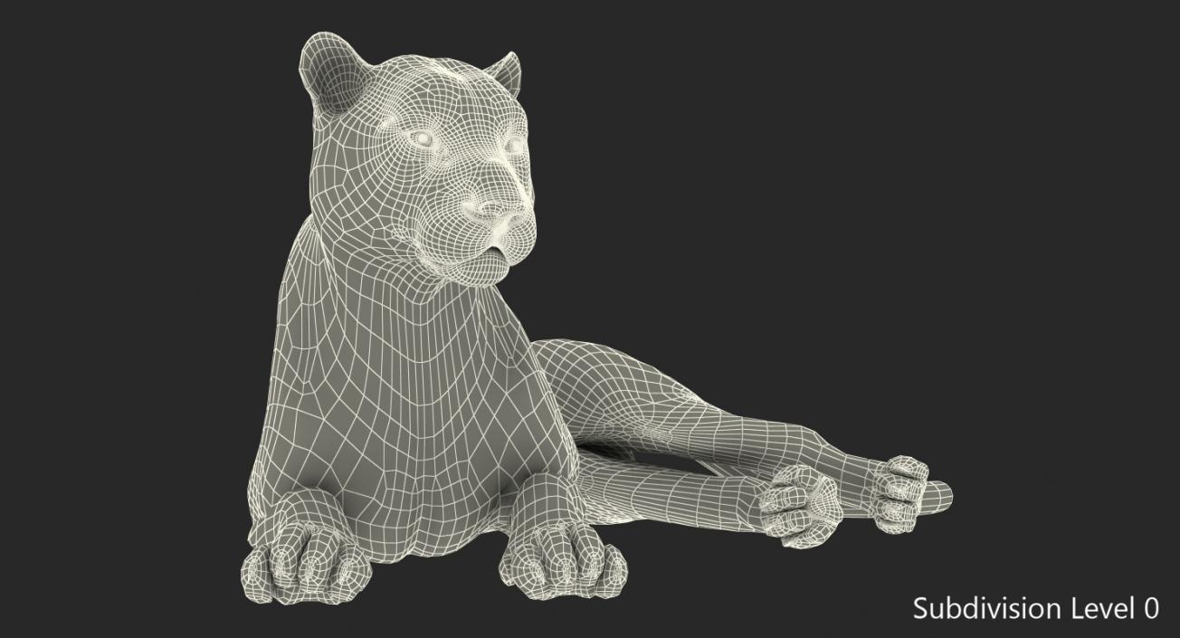 Lying White Tiger 3D