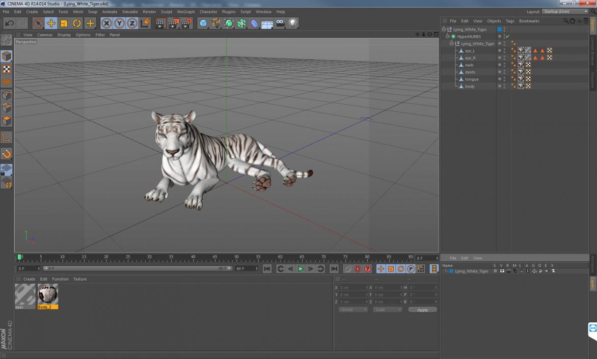 Lying White Tiger 3D