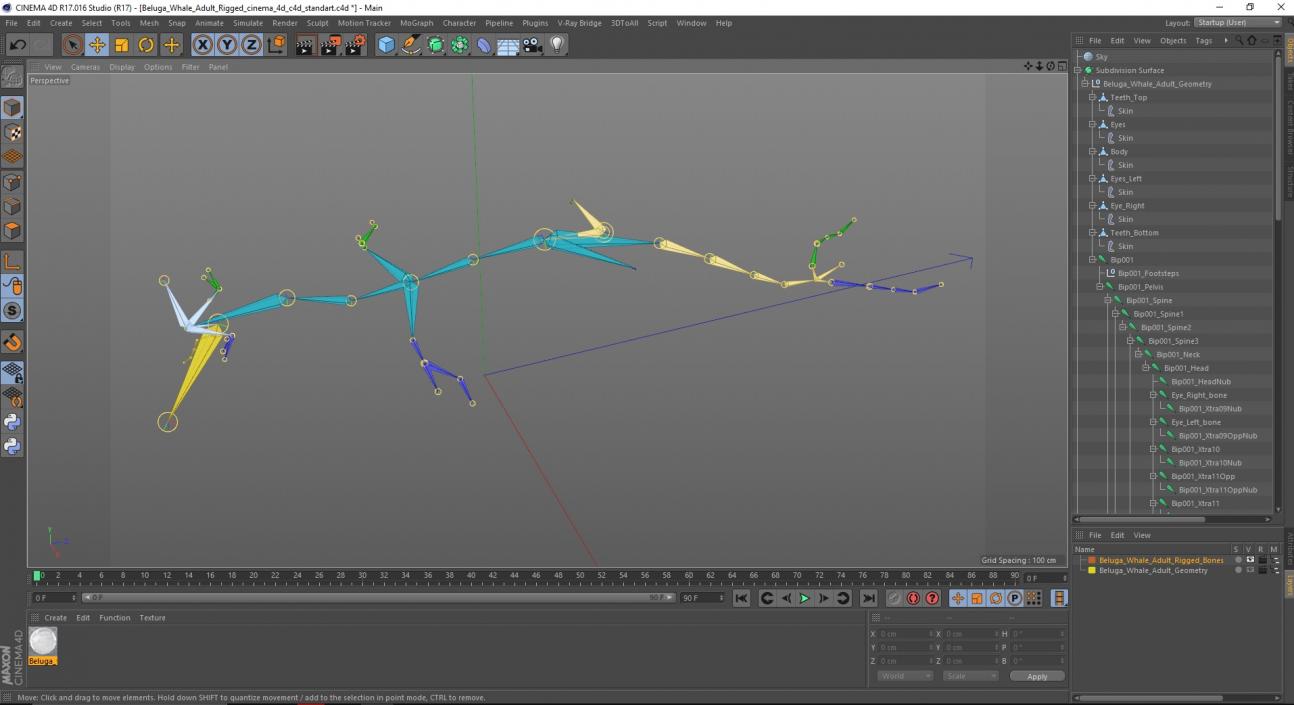 Beluga Whale Adult Rigged for Cinema 4D 3D model