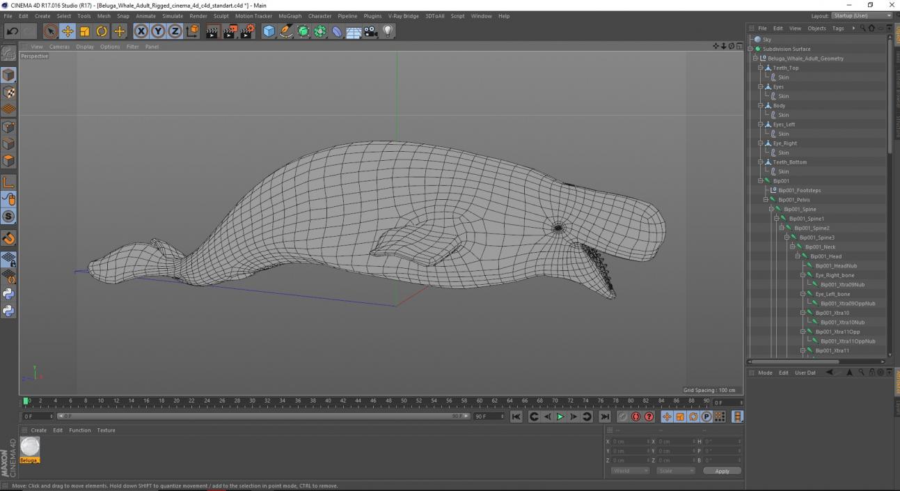 Beluga Whale Adult Rigged for Cinema 4D 3D model