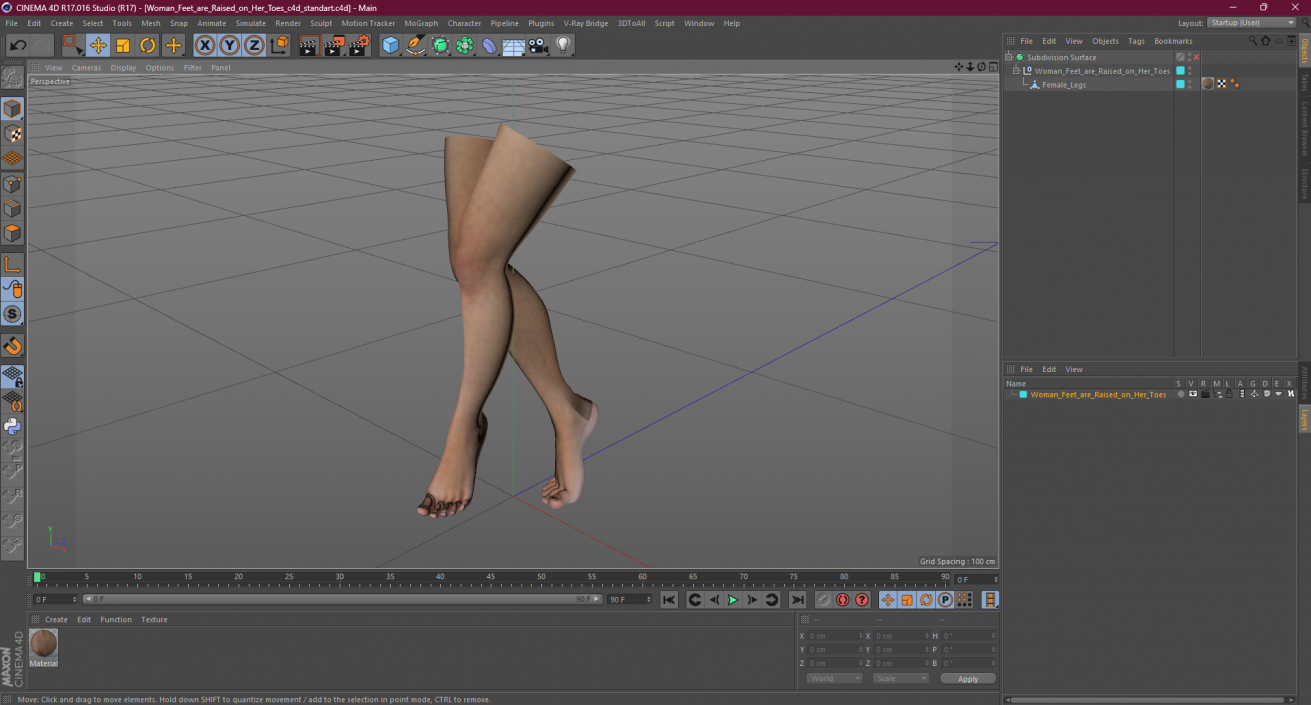 3D model Woman Feet are Raised on Her Toes 2