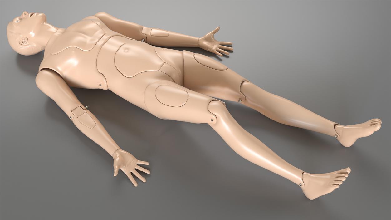 3D First Aid Training Manikins Collection model