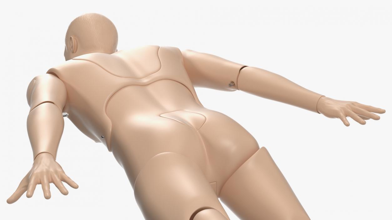 3D First Aid Training Manikins Collection model