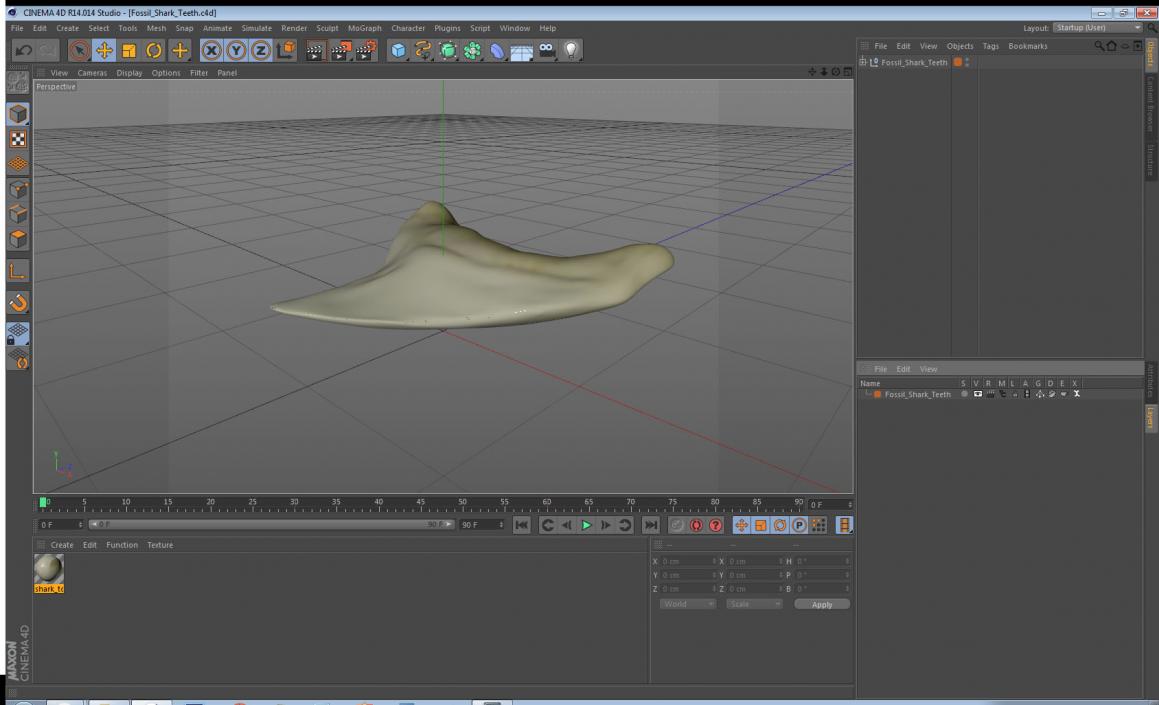 3D Fossil Shark Teeth model