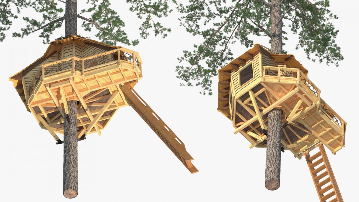 Tree House with One Pine 3D model