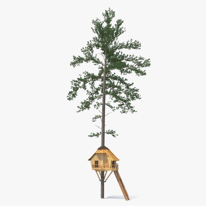 Tree House with One Pine 3D model