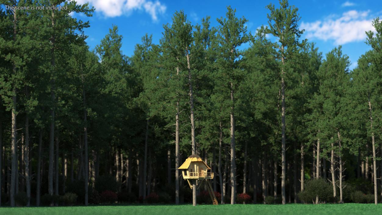 Tree House with One Pine 3D model