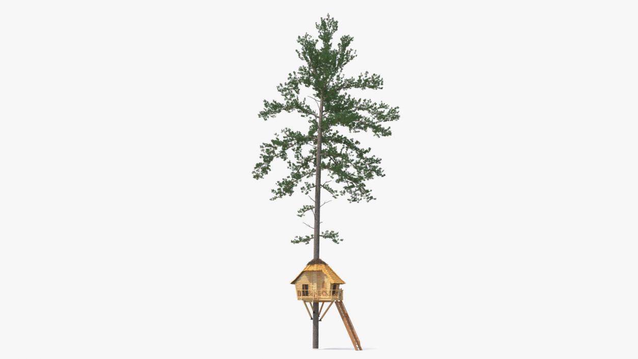 Tree House with One Pine 3D model