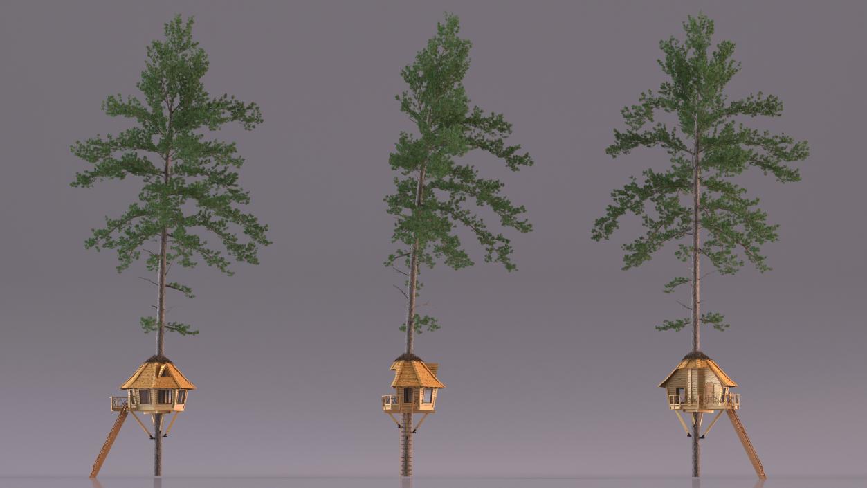 Tree House with One Pine 3D model