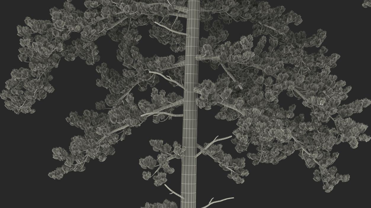 Tree House with One Pine 3D model