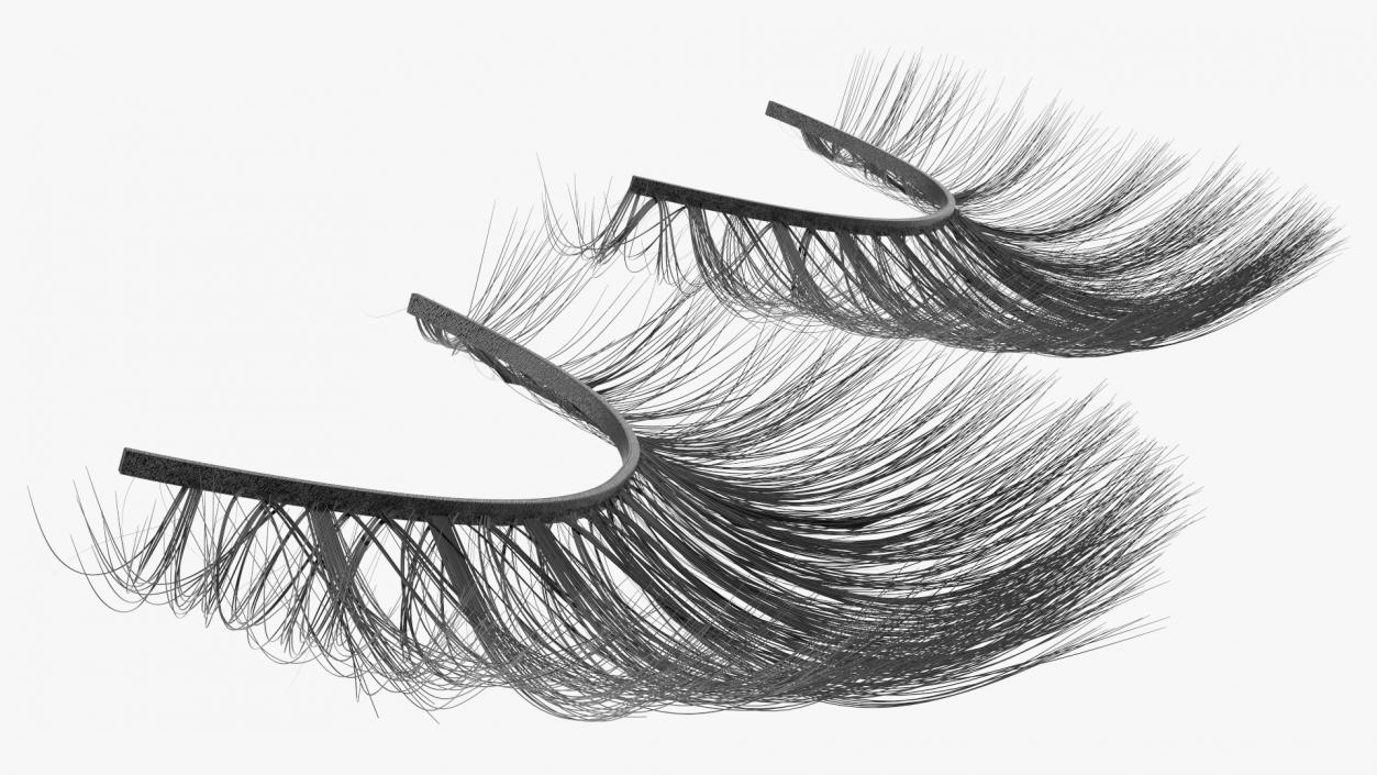 3D model False Eyelashes