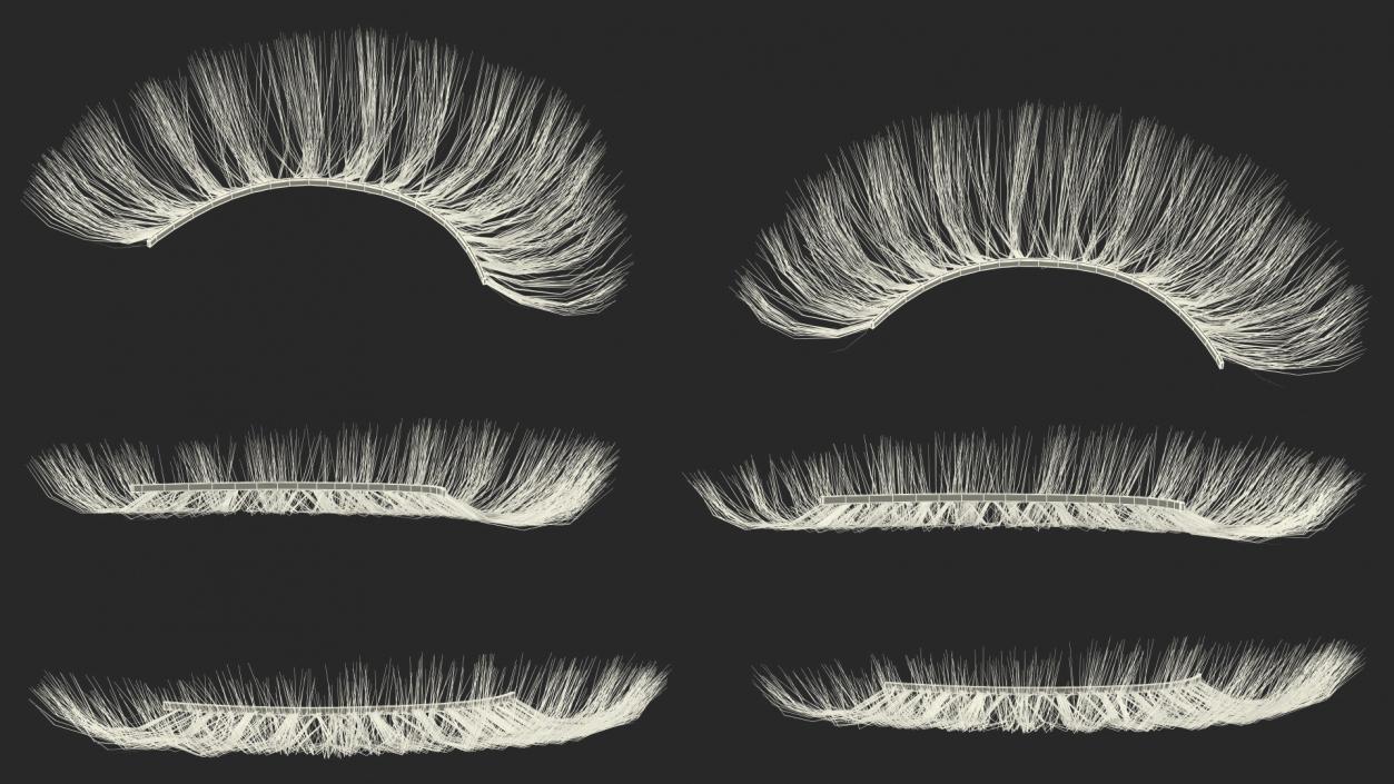 3D model False Eyelashes