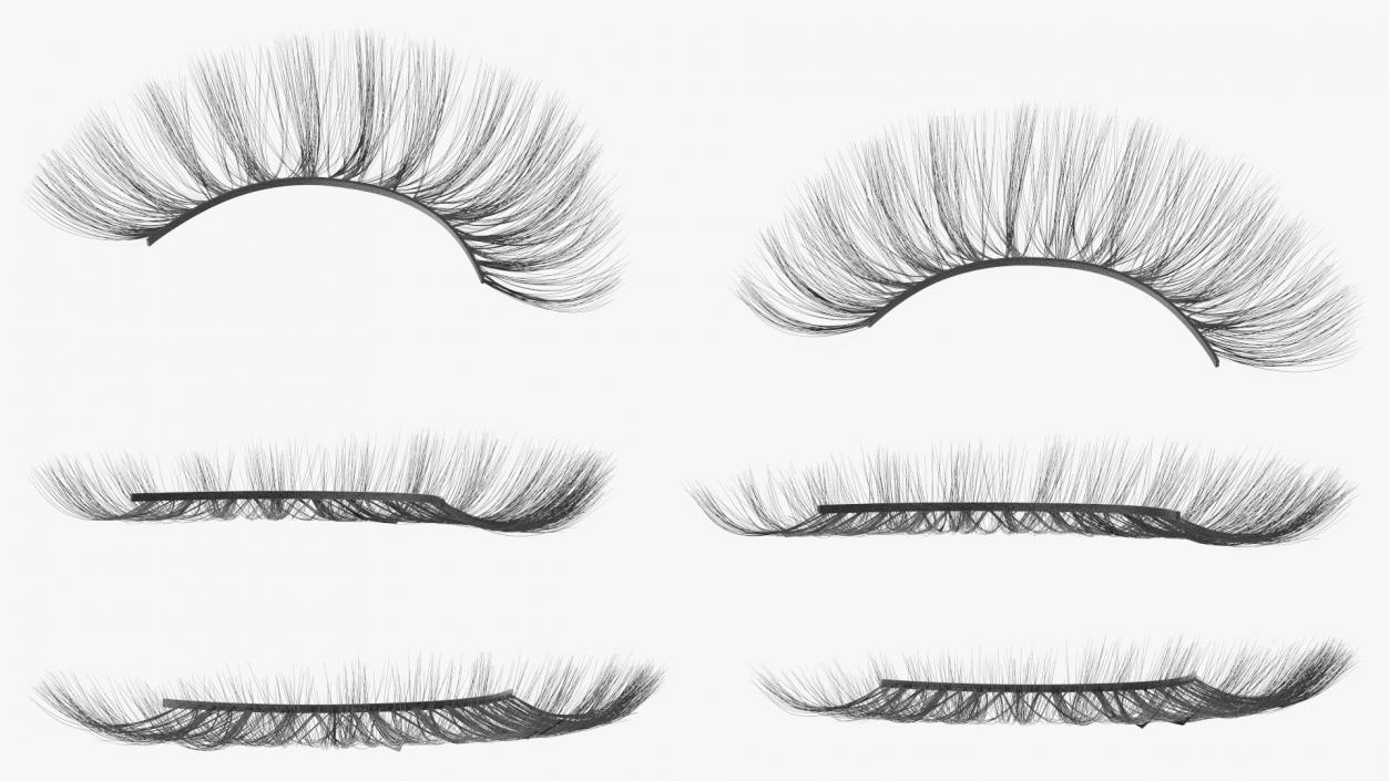 3D model False Eyelashes