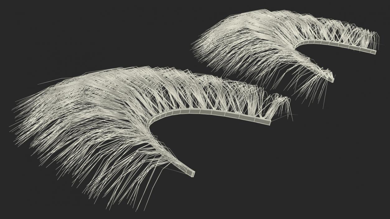 3D model False Eyelashes