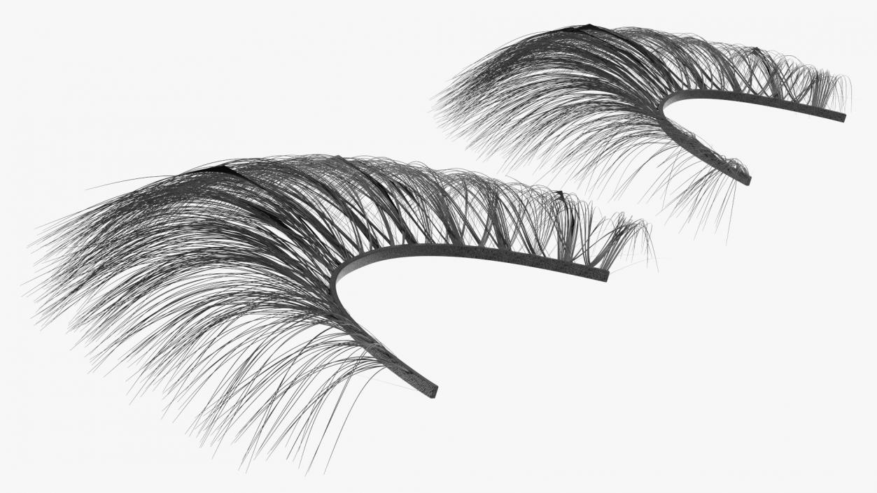 3D model False Eyelashes