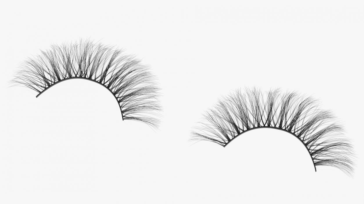 3D model False Eyelashes