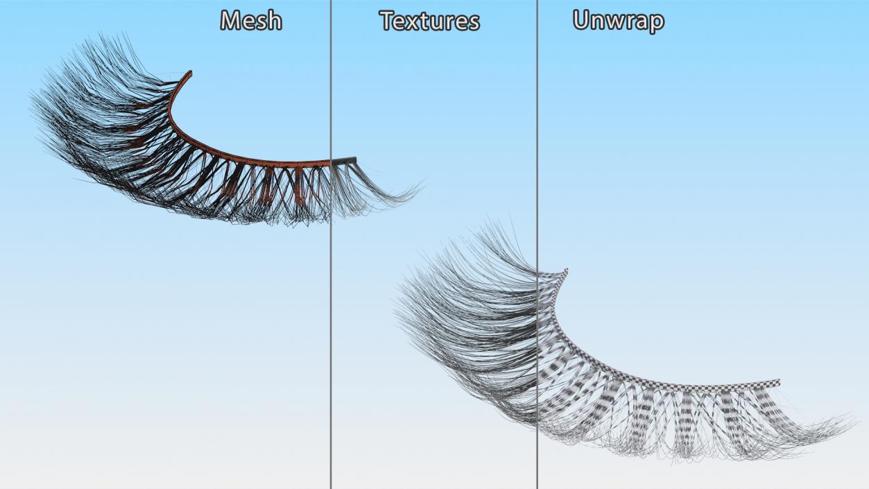 3D model False Eyelashes