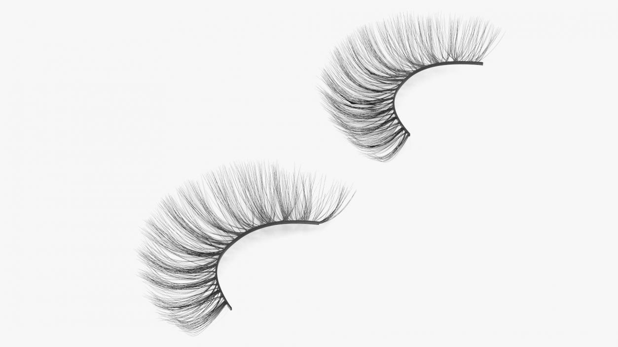 3D model False Eyelashes