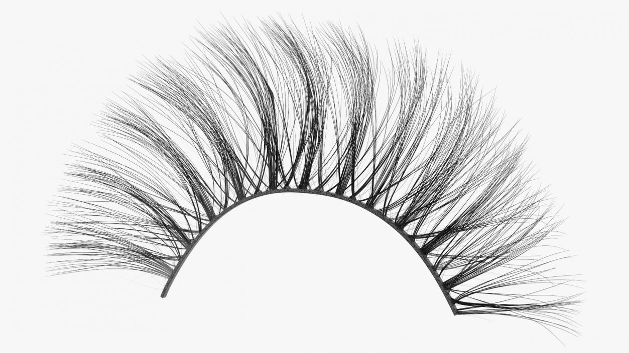 3D model False Eyelashes