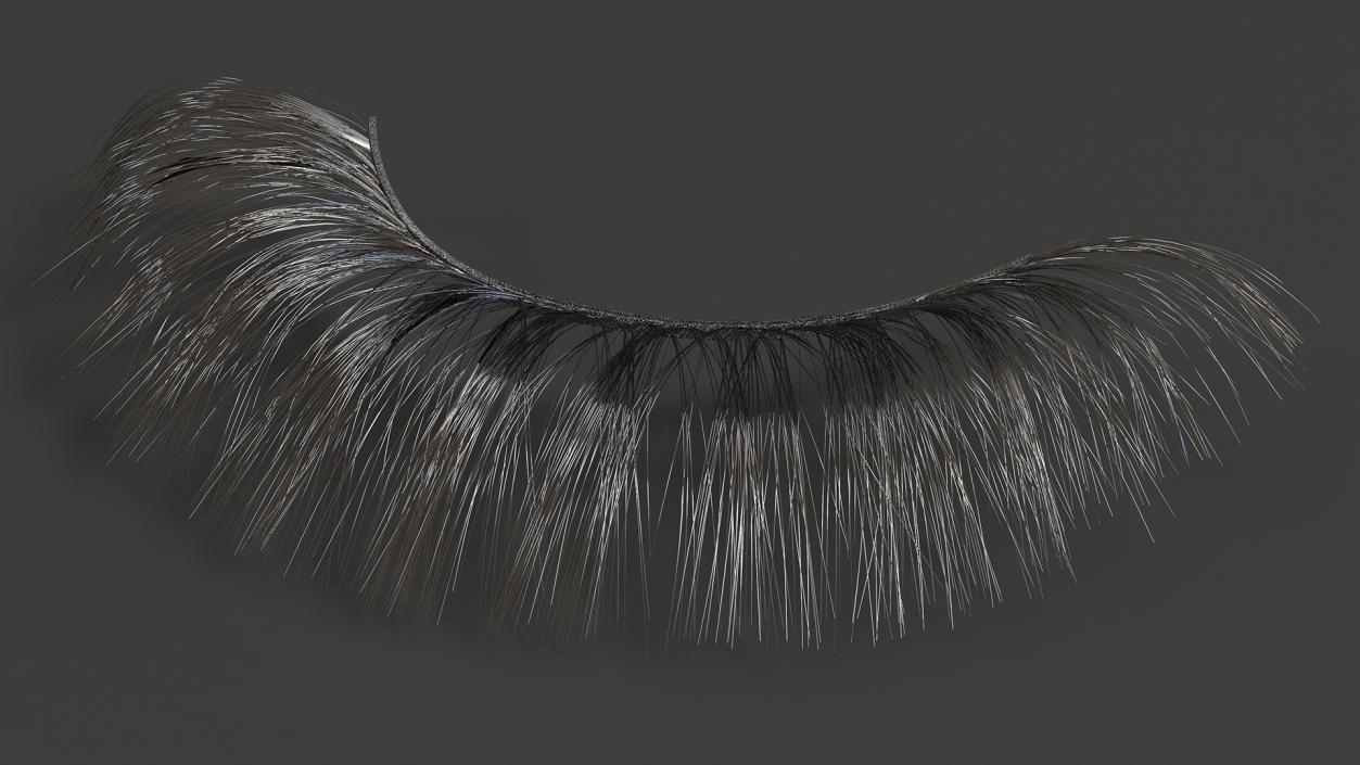 3D model False Eyelashes