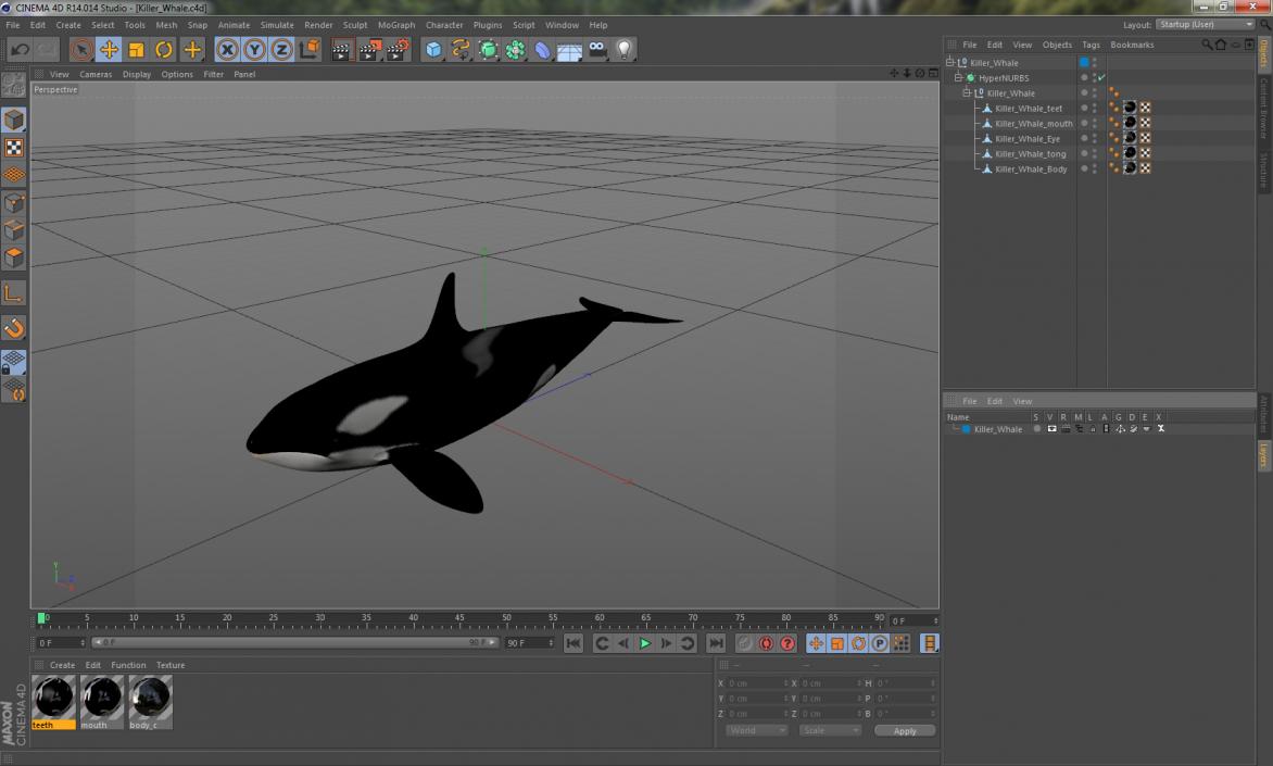 Killer Whale 3D