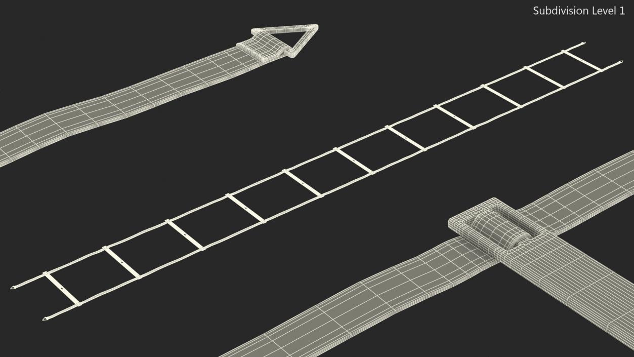 3D Agility Ladder Red model