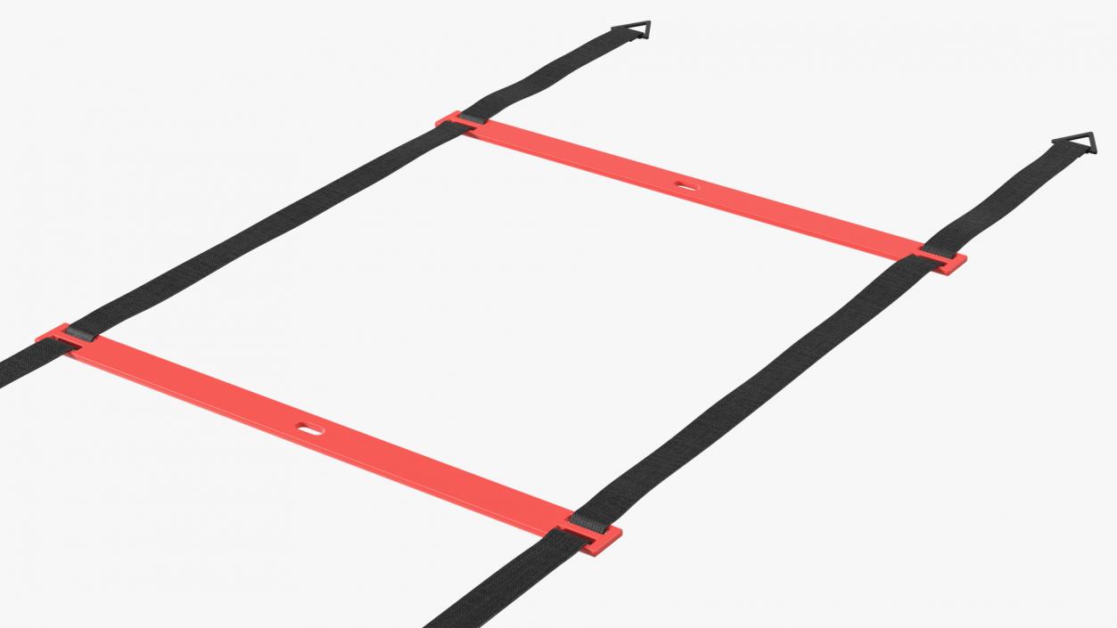 3D Agility Ladder Red model