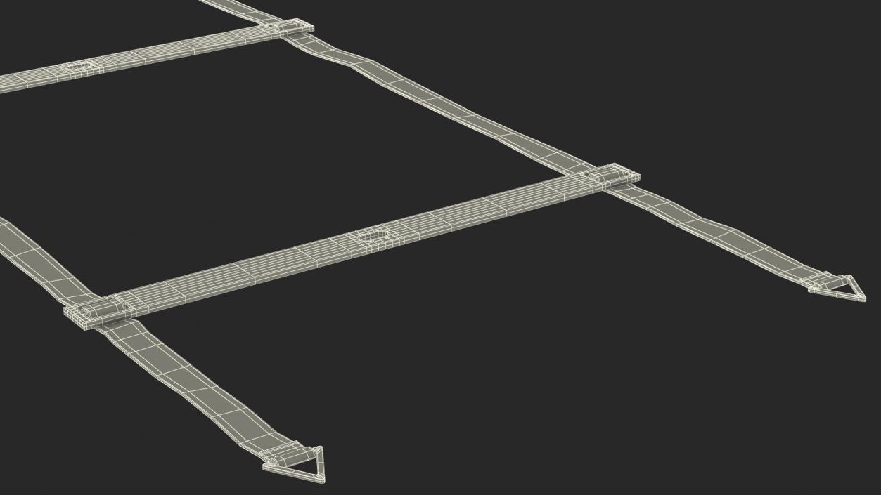 3D Agility Ladder Red model