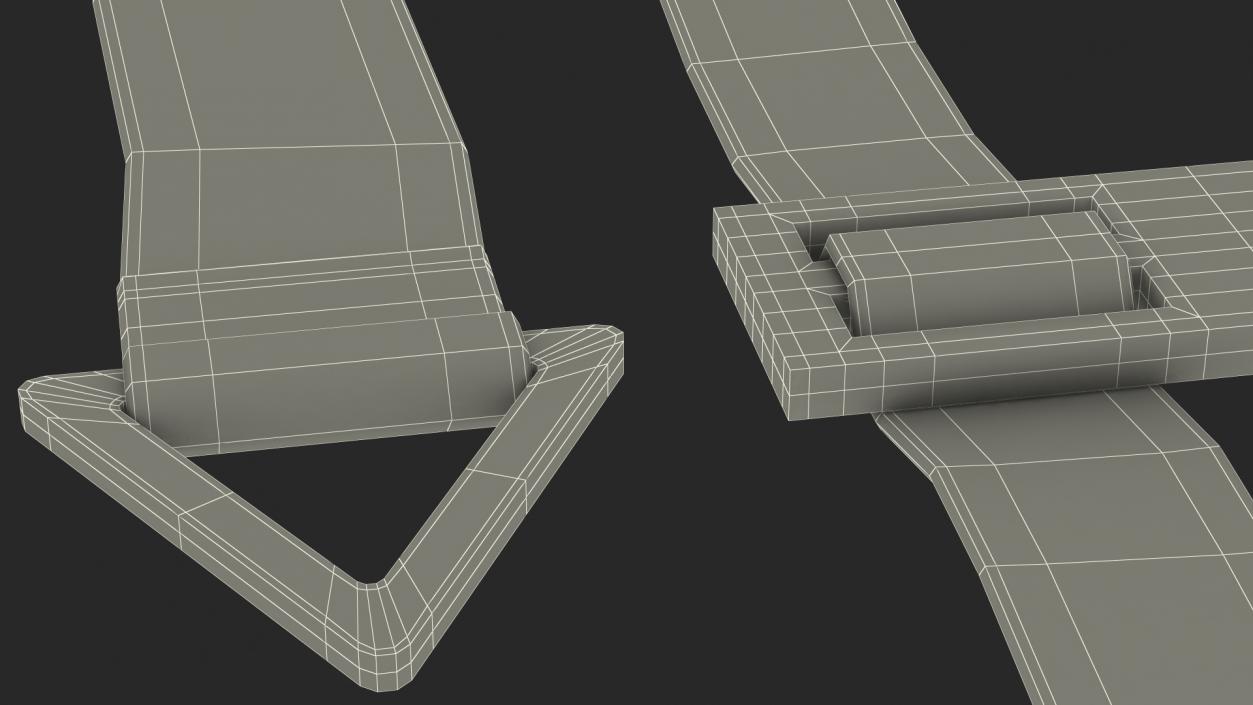 3D Agility Ladder Red model