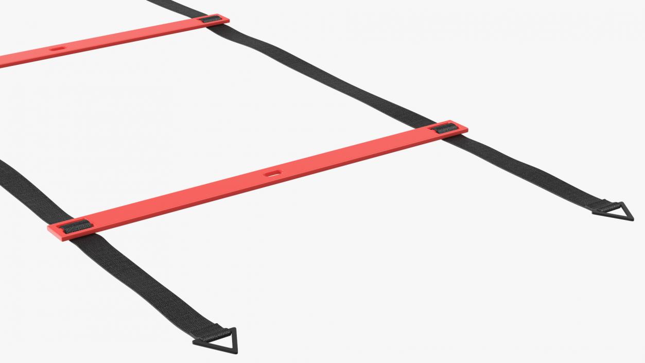 3D Agility Ladder Red model