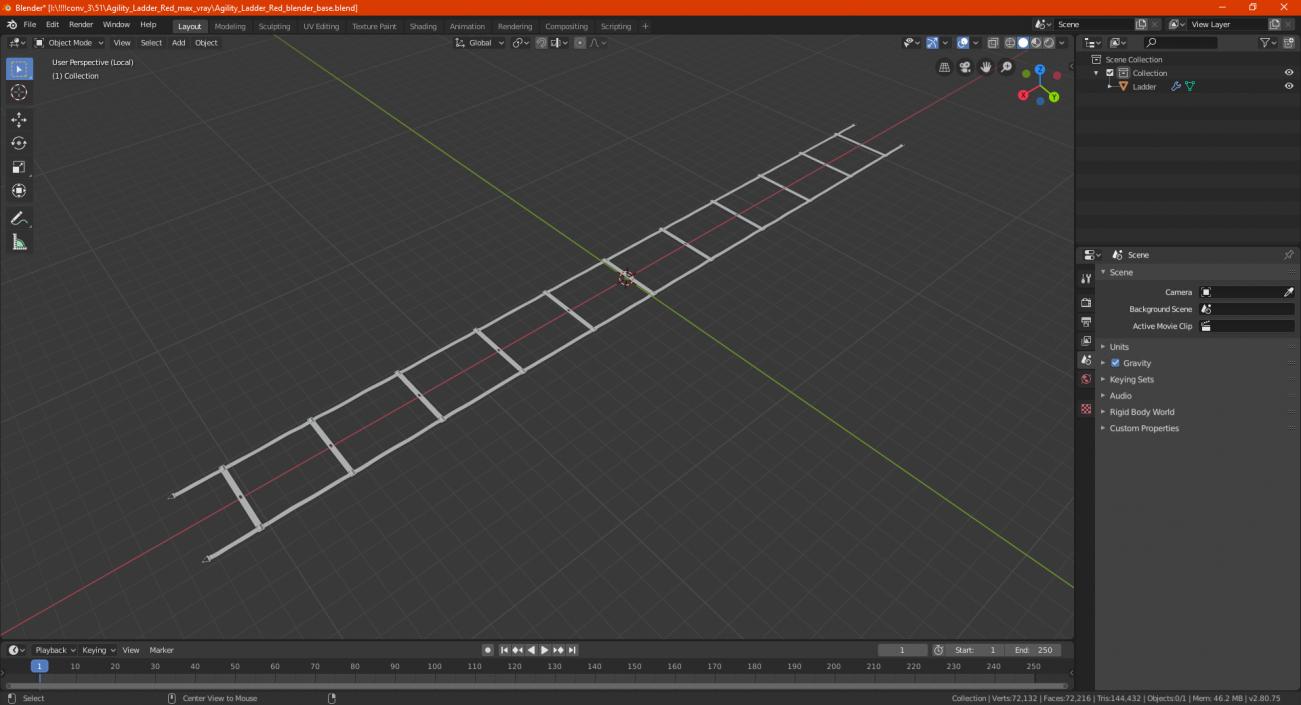 3D Agility Ladder Red model