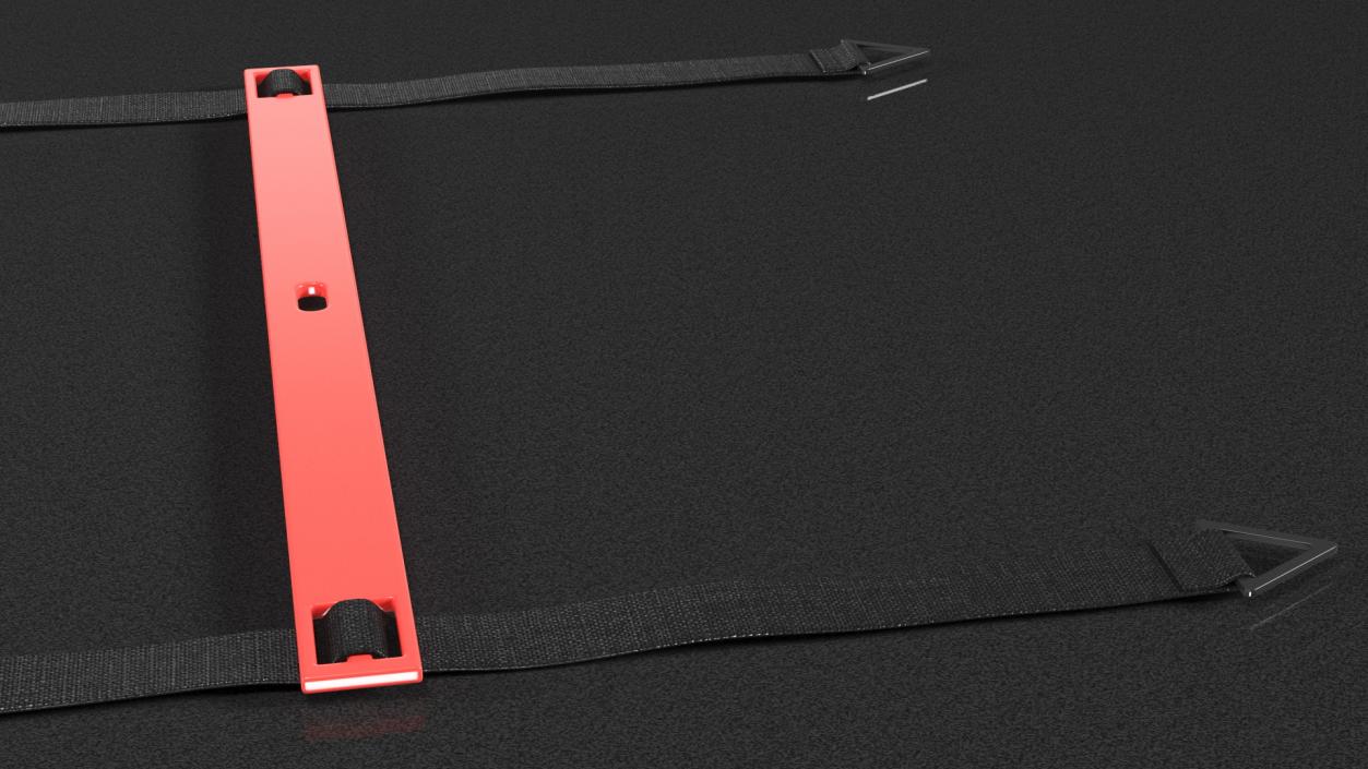 3D Agility Ladder Red model