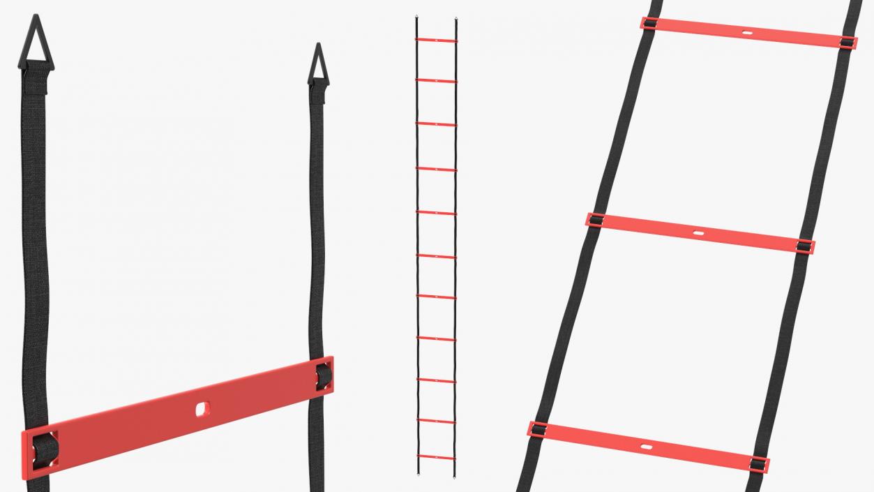 3D Agility Ladder Red model