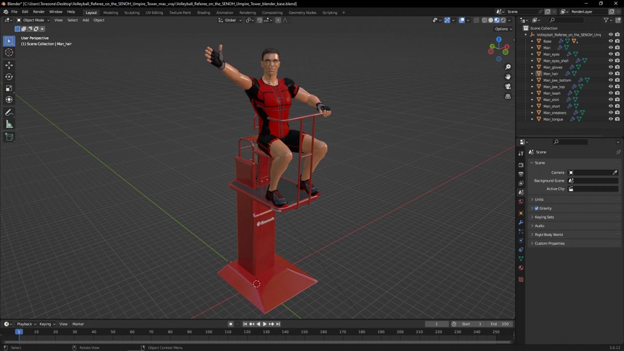 3D Volleyball Referee on the SENOH Umpire Tower 2