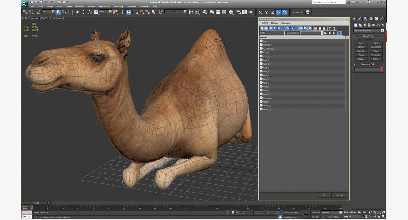 Camel Sitting Pose with Fur 3D