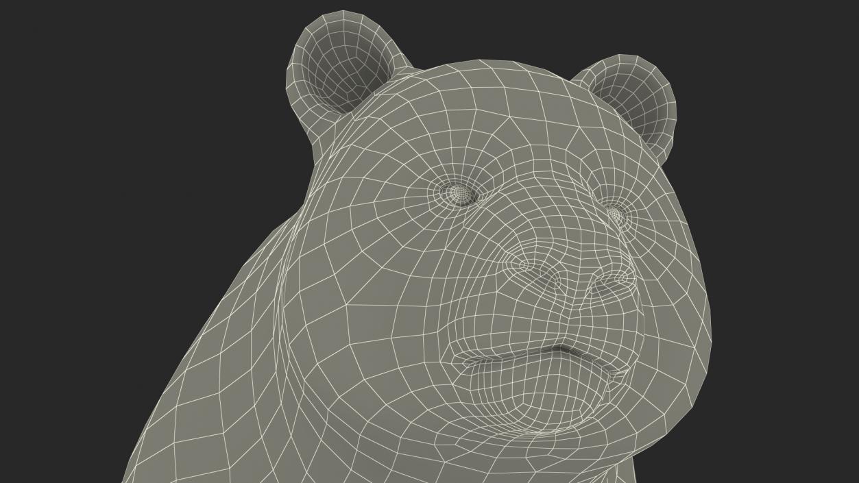 3D Giant Panda Rigged model