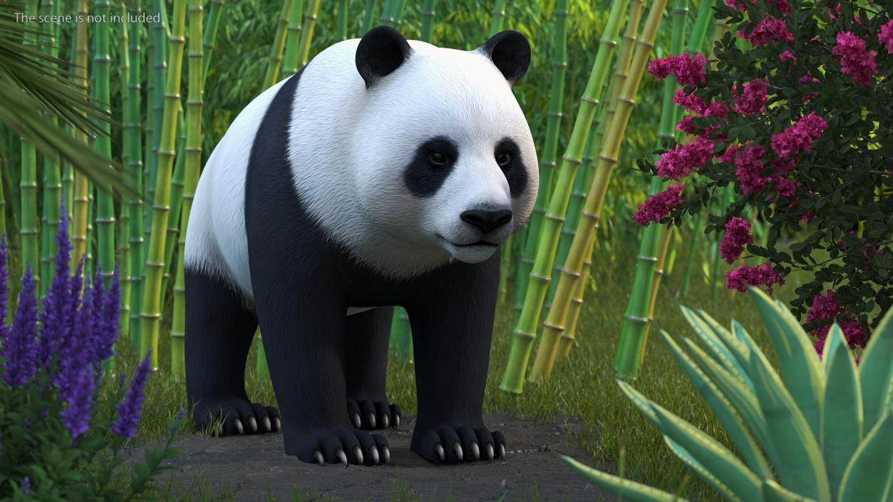 3D Giant Panda Rigged model