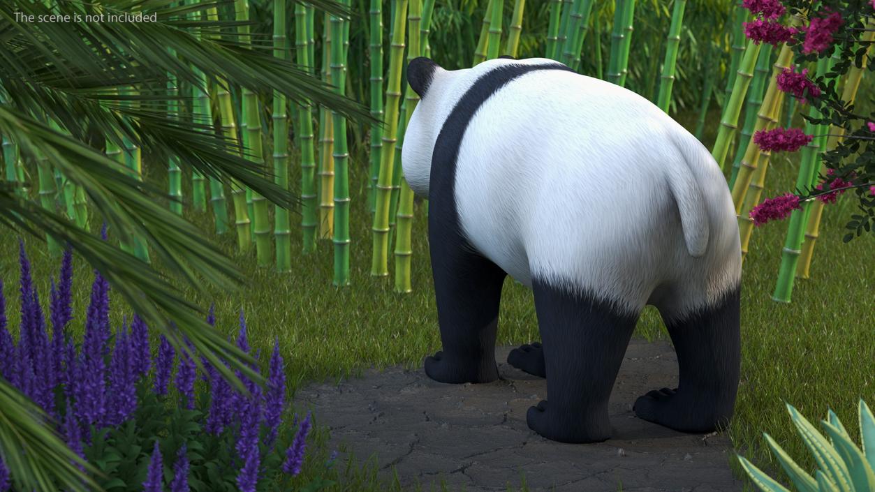 3D Giant Panda Rigged model