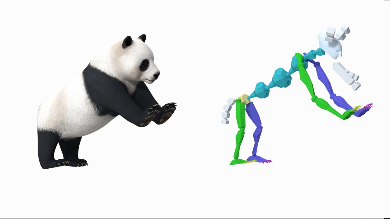 3D Giant Panda Rigged model