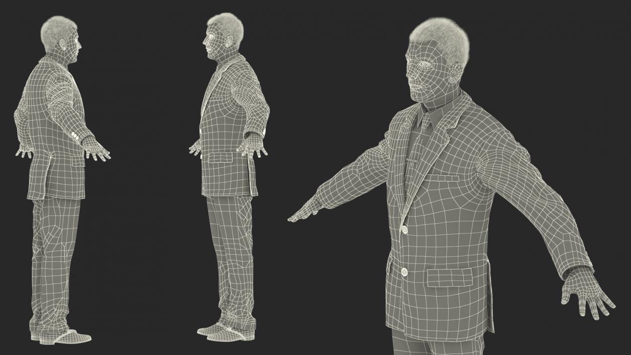 3D Suit Business Man Fur Rigged model